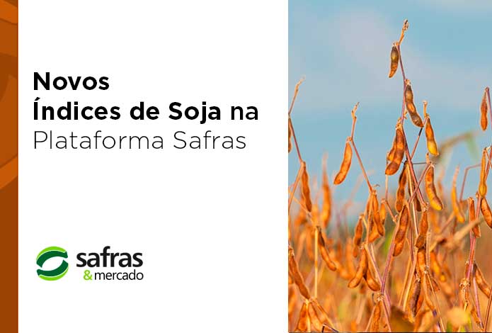 blog novos indices de soja na platfaorma safras