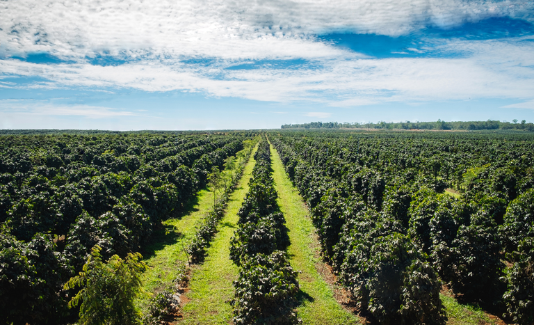 imagem 2025 06 06 114046664