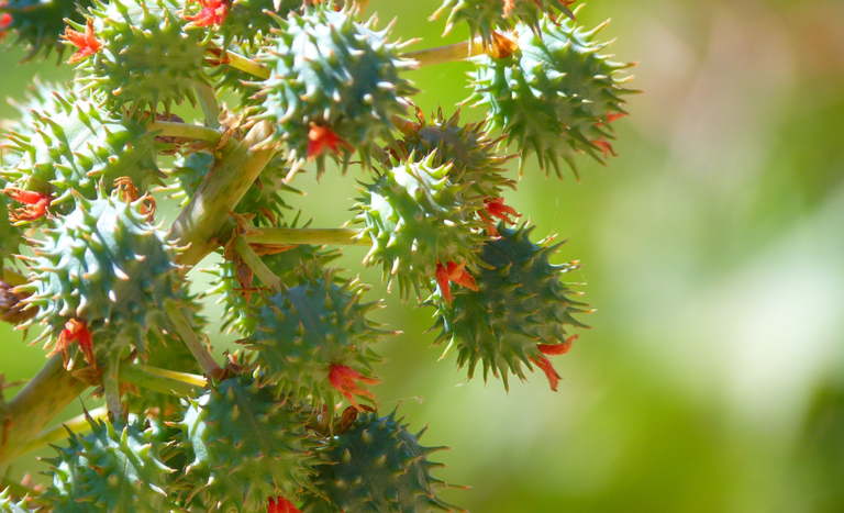 5ea2244b 6f94 4960 bb21 3dbfa7542158