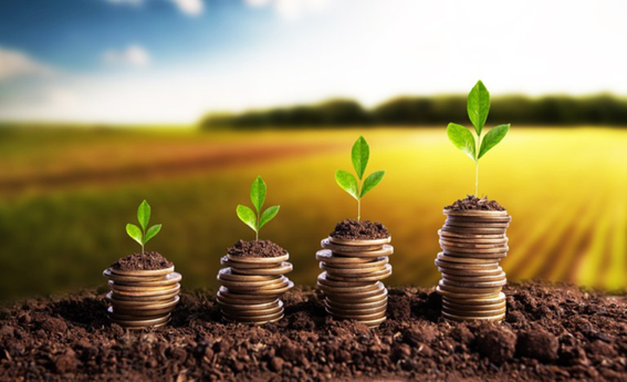 Mapa credito rural 2