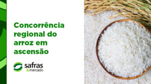 blog arroz 5