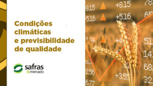 blog banner trigo safras 2 blog banner trigo safras 2