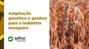 blog banner trigo safras 3 blog banner trigo safras 3
