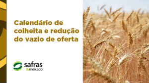 blog banner trigo safras 4 blog banner trigo safras 4