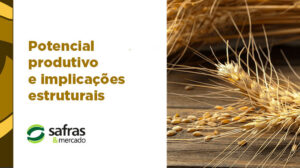 blog banner trigo safras 5 blog banner trigo safras 5