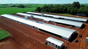 GranjaMBRF ToledoPR Alta