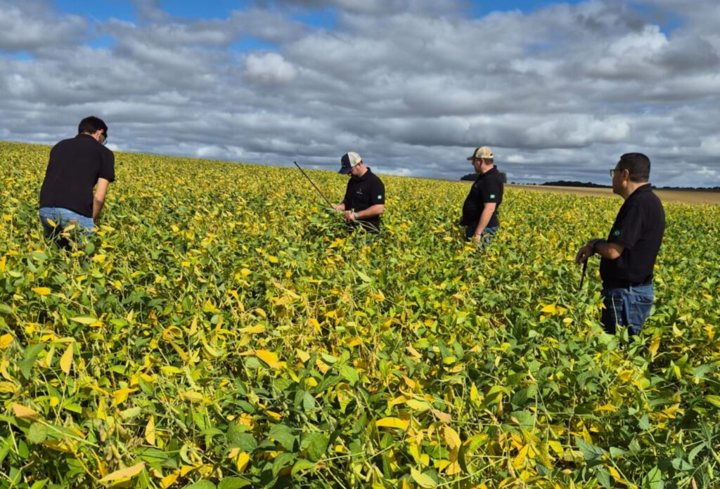 Elicit Plant promove tour técnico no RS e apresenta resultados da safra
