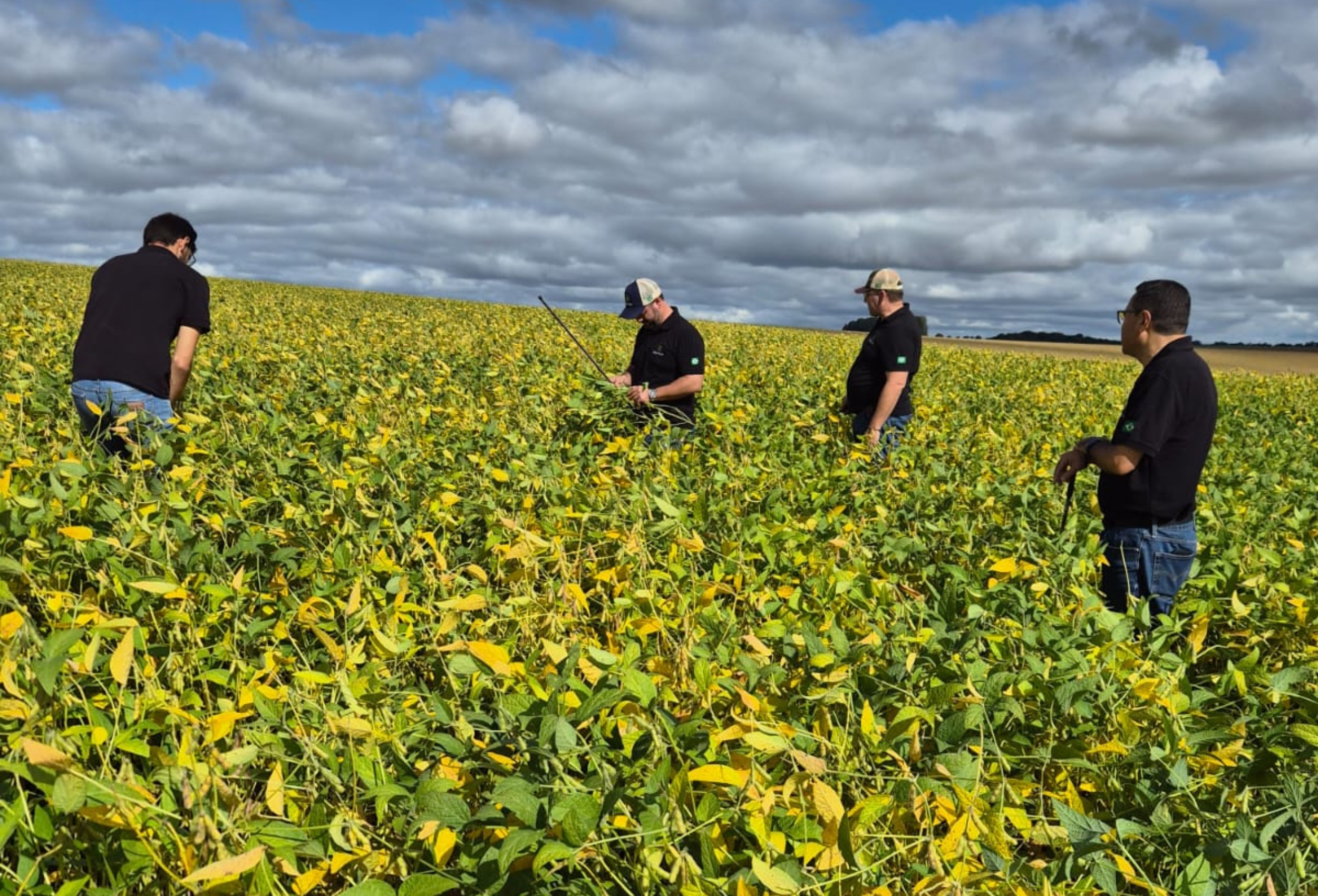 Tour Soja RS Crédito Elicit Plant Divulgação