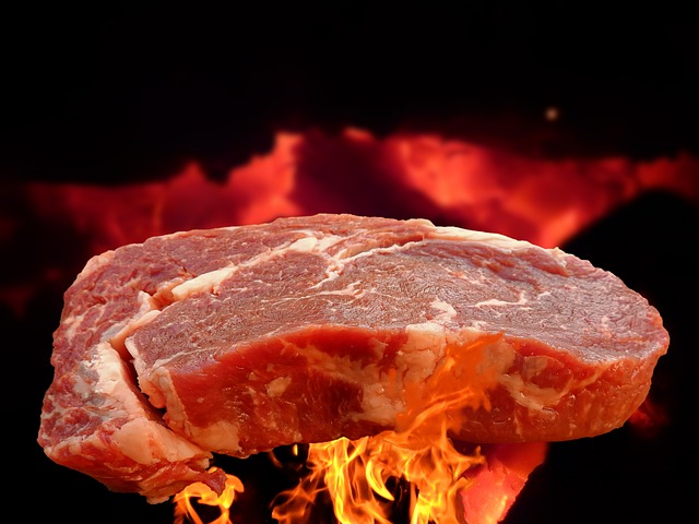 Carne gratis