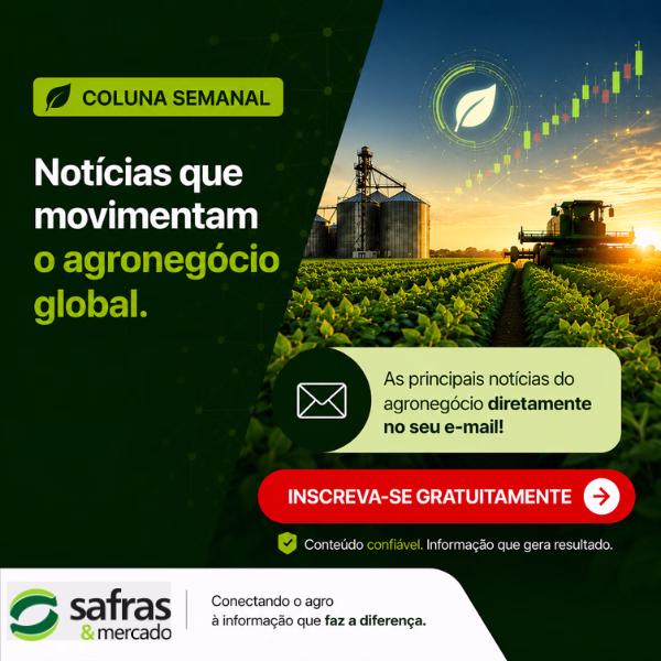 Coluna semanal 600x600 (2) converted
