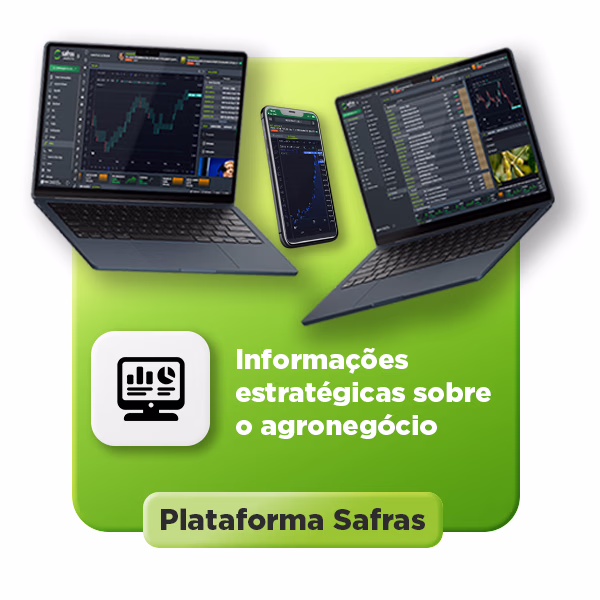 banner novo site safras2 01 converted