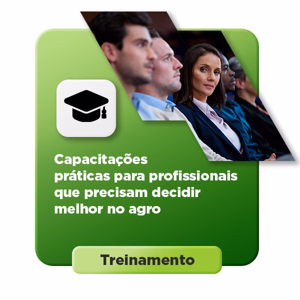 banner novo site safras2 03 converted