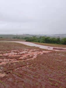 OESTE PR