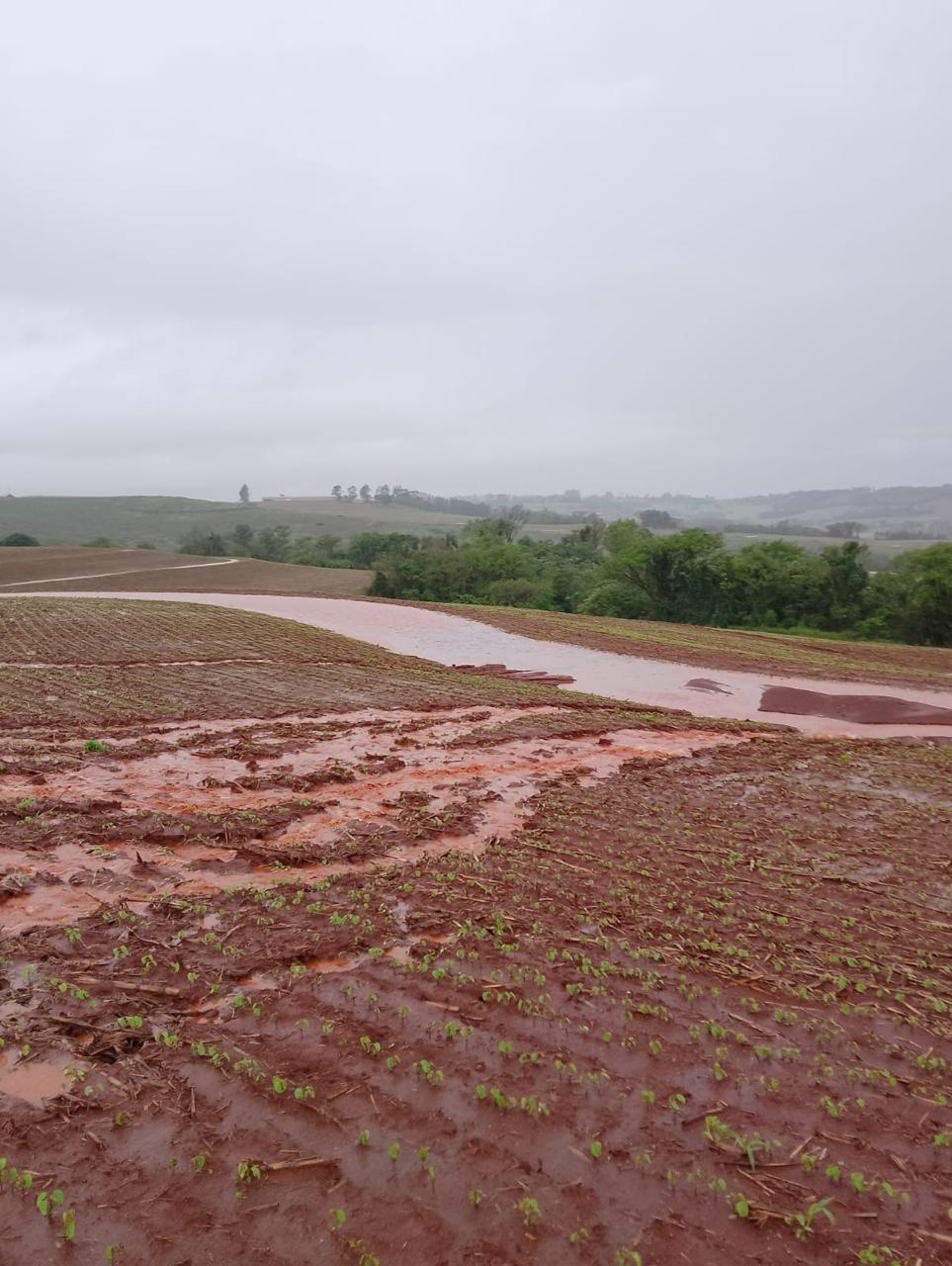 OESTE PR